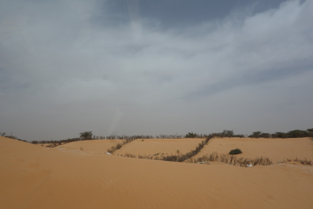 DSC09354