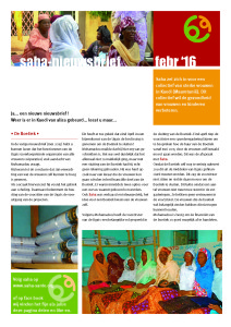 Nieuwsbrief Saha_febr16_Pagina_1
